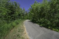 a winding road through a forest in the country side of canada and finland on an electric board