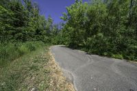 a winding road through a forest in the country side of canada and finland on an electric board