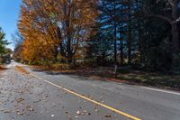 a yellow traffic sign is near a street with trees in the background, and fall colored leaves are laying on the ground