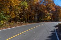 an empty road with several trees that are turning yellow, on the other side are leaves in the middle of the road