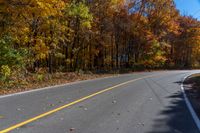 an empty road with several trees that are turning yellow, on the other side are leaves in the middle of the road