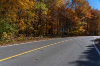 an empty road with several trees that are turning yellow, on the other side are leaves in the middle of the road