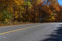 an empty road with several trees that are turning yellow, on the other side are leaves in the middle of the road