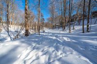 snowy woods with a person walking in the snow on top of them and snow piled on top of each other