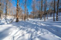 snowy woods with a person walking in the snow on top of them and snow piled on top of each other