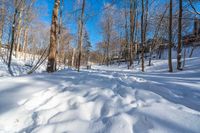 snowy woods with a person walking in the snow on top of them and snow piled on top of each other