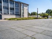 empty concrete parking lot with large buildings in back ground area of outdoor space next to tall grass and shrubs