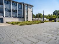 empty concrete parking lot with large buildings in back ground area of outdoor space next to tall grass and shrubs