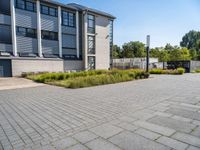 empty concrete parking lot with large buildings in back ground area of outdoor space next to tall grass and shrubs