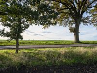 Clear Sky in Europe: Nature in Germany