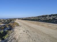 a dirt road in the middle of a beach near the ocean and a small patch of vegetation in the foreground