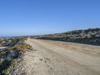 a dirt road in the middle of a beach near the ocean and a small patch of vegetation in the foreground