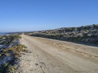 a dirt road in the middle of a beach near the ocean and a small patch of vegetation in the foreground