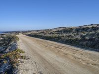 a dirt road in the middle of a beach near the ocean and a small patch of vegetation in the foreground