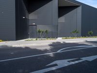 an asphalted street in front of a black building with arrows on it and a tree and bushes in the foreground