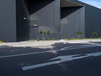 an asphalted street in front of a black building with arrows on it and a tree and bushes in the foreground