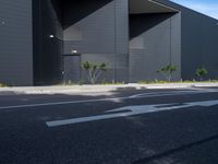 an asphalted street in front of a black building with arrows on it and a tree and bushes in the foreground