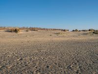 a sandy beach with footprints of people on the sand in the background and a fence separating the beach