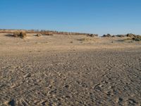 a sandy beach with footprints of people on the sand in the background and a fence separating the beach