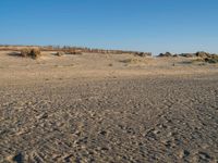 a sandy beach with footprints of people on the sand in the background and a fence separating the beach