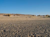 a sandy beach with footprints of people on the sand in the background and a fence separating the beach