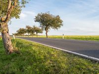 Clear Sky Landscape in Europe: A Beautiful Day