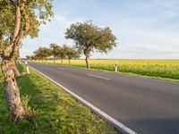 Clear Sky Landscape in Europe: A Beautiful Day