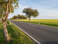 Clear Sky Landscape in Europe: A Beautiful Day