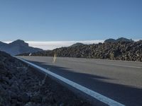 a paved road between rocks and mountains with a small flower in the middle of it