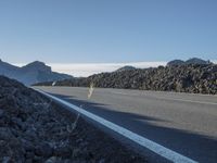 a paved road between rocks and mountains with a small flower in the middle of it