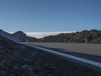 a paved road between rocks and mountains with a small flower in the middle of it