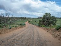 Clear Sky Landscape: Straight Gravel Road in Rural Utah