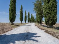 Clear Sky Landscape in Tuscany, Europe