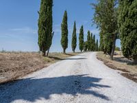 Clear Sky Landscape in Tuscany, Europe