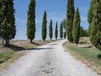 Clear Sky Landscape in Tuscany, Europe