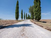 Clear Sky Landscape in Tuscany, Europe