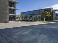 there are some glass windows in this office building architecture and the sidewalk on the right is an alley with lots of grass