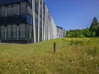 the tall building is surrounded by lush green grass and weeds under it in front of a blue sky