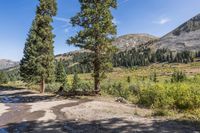 Clear Sky Mountain Landscape on a Day