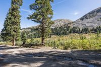 Clear Sky Mountain Landscape on a Day