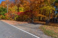 the road through a park filled with trees covered in yellow and orange leaves is lined on the sides of a sidewalk