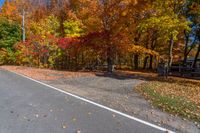 the road through a park filled with trees covered in yellow and orange leaves is lined on the sides of a sidewalk