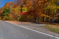 the road through a park filled with trees covered in yellow and orange leaves is lined on the sides of a sidewalk