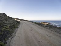 a lone dirt road is shown with blue skies in the background of the picture a hill with bushes