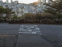 Clear Sky Overlook: San Francisco Cityscape