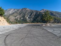 a car is parked in front of a pine tree on a runway with mountain in the background