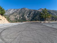 a car is parked in front of a pine tree on a runway with mountain in the background