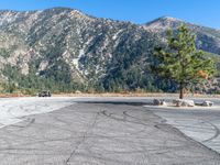 a car is parked in front of a pine tree on a runway with mountain in the background