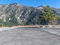 a car is parked in front of a pine tree on a runway with mountain in the background