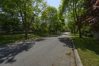 Clear Sky Over Residential Area on Toronto Road